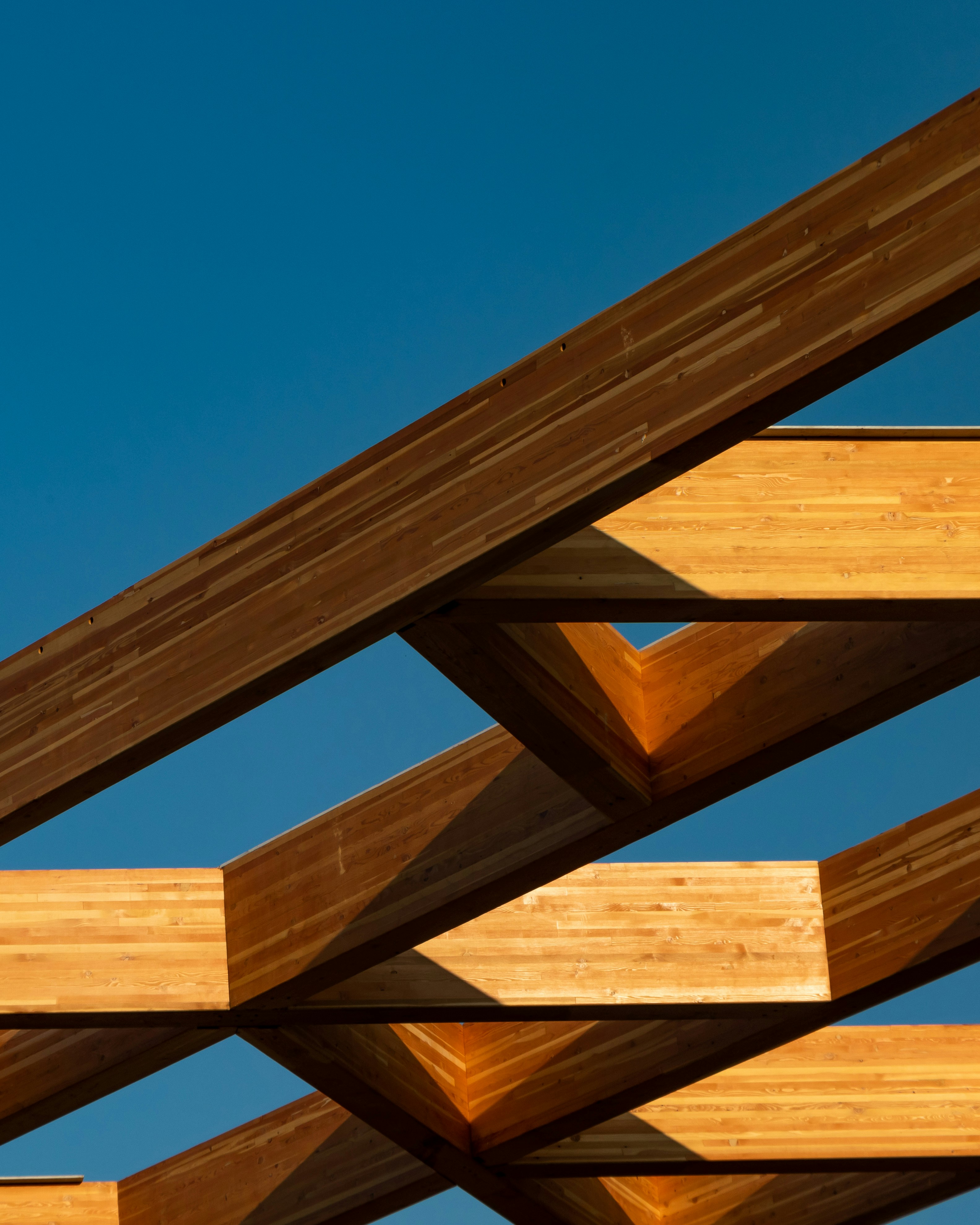 Construction Project Management